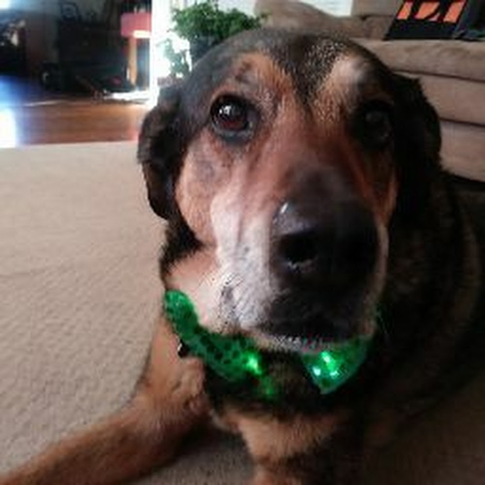 Meet your Posher, Benjamin